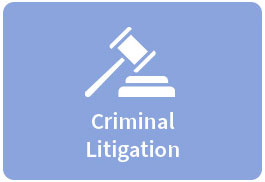 Criminal Litigation